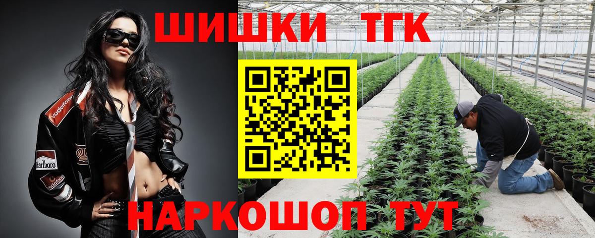 Бошки Шишки планчик Ростов Великий